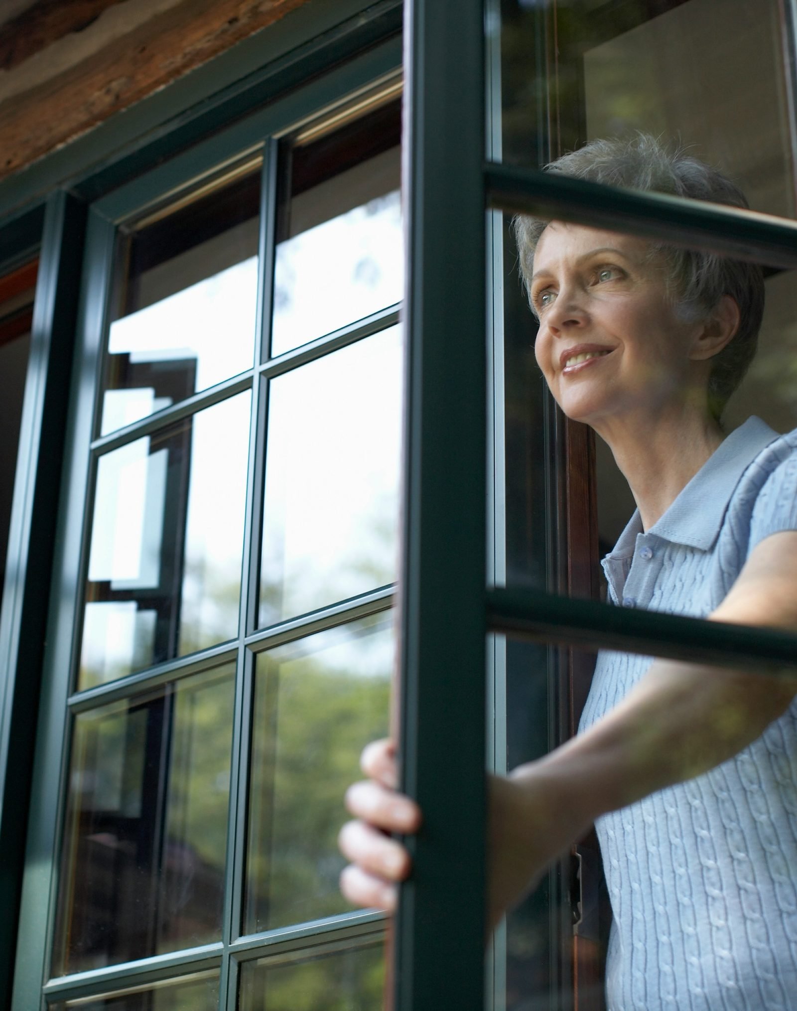 VITRÜX aluminium glazing